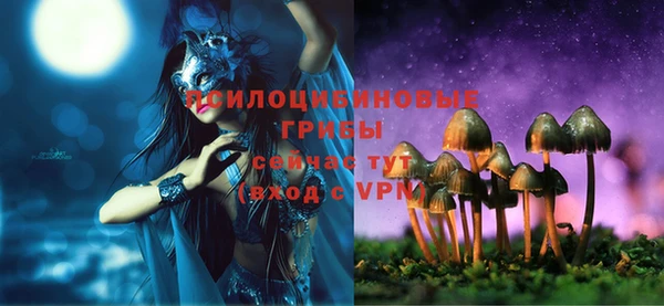прущие грибы Лихославль